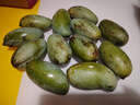 壹萌果蔬金煌芒芒果 當(dāng)季現(xiàn)摘廣西大芒果新鮮水果青皮芒果整箱送禮 5斤精品果【單果150g+】 凈4.5斤 曬單實拍圖