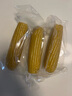 東北黃糯玉米真空包裝速食玉米軟糯香甜代餐小棒140g-180g 3根裝 曬單實拍圖