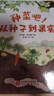 種菜吧！從種子到果實(shí) 曬單實(shí)拍圖