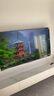 海信電視65E5N Pro+ 65英寸 DeepSeek AI電視 528分區(qū)Mini LED 65E5ND-PRO  國家補貼20% 曬單實拍圖