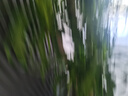 九陽破壁機家用輕音全自動多功能降噪預(yù)約豆?jié){機榨汁輔食機1.75L五谷雜糧3-5人金榜Y915S國家補貼 曬單實拍圖