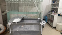 ANGI BABY嬰兒床可移動(dòng)拼接床嬰兒床多功能床可折疊搖搖床新生兒哄睡兒童床 旗艦款 尿布臺(tái)+玩具架+蚊帳+搖桿 嬰兒床拼接床新生兒禮物哄娃神器 曬單實(shí)拍圖