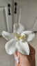 璇洛臻品小花朵混搭20朵 絹花仿真花 diy手工簪花頭飾 花環(huán)包花 花墻裝飾 3-10CM大中小隨機混合花20朵 曬單實(shí)拍圖