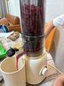 九陽(yáng)（Joyoung）【政府補貼】NFC榨汁機原汁機 家用多功能電動(dòng)冰淇淋機全自動(dòng)冷壓榨果汁果蔬機渣汁分離Z5-LZ550  曬單實(shí)拍圖