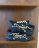 始祖鳥（ARC'TERYX）球鞋定制 Aerios Fl 2 GTX 金龍戲墨 低幫男女款戶外功能鞋休閑鞋 L07124400 Team80-化石秘境玫粉S 45 官方鑒別，假一賠三 曬單實拍圖