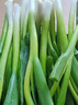 良知農哥【順豐】東北新鮮小蔥 蘸醬蔬菜飯包小菜 3斤 送醬 曬單實(shí)拍圖