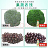 奧妙大桶酵素餐具凈洗潔精 橙花小青柑1KG*4+500g*2 6瓶裝去鍋具焦糊 曬單實拍圖