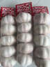 出口新鮮山東大蒜頭干蒜商超批發(fā)產(chǎn)地直發(fā)紫白皮即食水果生鮮調料 4500g（9斤） 5.5-6.0厘米以上干蒜出口級小網(wǎng)兜可種植 曬單實(shí)拍圖