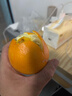 贛南臍橙橙子贛南臍橙正宗江西贛州直發(fā)早橙時(shí)令水果禮盒手剝橙新鮮水果 2斤[單果65mm約6-8個(gè)]嘗鮮裝 曬單實(shí)拍圖