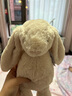 Jellycat致臻害羞羅莎維洛邦尼兔動(dòng)物毛絨玩偶安撫生日七夕情人節(jié)禮物 害羞維洛邦尼兔 H31 X W12 CM 曬單實(shí)拍圖