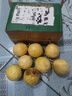 廣西欽蜜9號黃金百香果萬(wàn)澄當季新鮮大果黃皮果奶茶店水果 【1斤 約11-17個(gè)】單果30-45g 曬單實(shí)拍圖