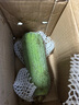 湖南青絲瓜新鮮蔬菜生鮮現摘肉絲瓜清甜可口湘菜必備 青絲瓜 3斤 帶箱 曬單實(shí)拍圖