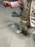 優(yōu)奇嬰兒褲子春秋男女寶寶高腰護(hù)肚長(zhǎng)褲嬰幼兒早秋高腰開(kāi)襠褲可愛(ài)家居 曬單實(shí)拍圖