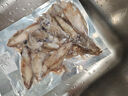 8斤 無(wú)添加野生海捕筆管魚(yú)小魷魚(yú)小海兔子現捕新鮮海鮮 1斤野生新鮮速凍筆管魚(yú) 曬單實(shí)拍圖