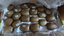 佳沛（zespri）綠奇異果特大果22-25個(gè)原箱裝單果約133-176g 水果禮盒獼猴桃 曬單實(shí)拍圖