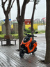ZEEHO極核新國標電動(dòng)自行車(chē)電動(dòng)車(chē)AE5i踏板電自鉛酸電自AE5i鉛酸48V12AH電動(dòng)車(chē)Pro AE5i Pro（48V12AH）顏色導到店選 曬單實(shí)拍圖