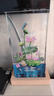花開(kāi)富貴水晶擺件客廳酒柜玄關(guān)家居裝飾品公司前臺(tái)輕奢高檔工藝品 花開(kāi)富貴（小號(hào)）水晶底座+禮盒 曬單實(shí)拍圖
