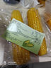 東北黃糯玉米真空包裝速食玉米軟糯香甜代餐小棒140g-180g 3根裝 曬單實(shí)拍圖
