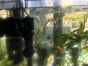 JCZS德國魚(yú)缸過(guò)濾制氧一體機小型超靜音免換水凈水循環(huán)三合一增氧氣泵 8W 【德國側吸款】 一層 (適合40-60cm魚(yú) 曬單實(shí)拍圖