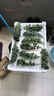 羽衣甘藍新鮮生鮮蔬菜嫩葉甘蘭芥藍西餐沙拉榨汁減肥減脂 羽衣甘藍減脂嘗鮮裝1斤 曬單實(shí)拍圖