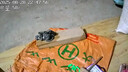 酷派4g太陽(yáng)能攝像頭戶外多攝無(wú)電無(wú)網(wǎng)終身免流量高清免插電監(jiān)控器360度無(wú)死角帶夜視室外看護(hù) 4G免充值+AOV超省電+海思芯片+64G卡 曬單實(shí)拍圖