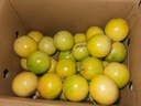 京鮮生 欽蜜9號(hào)黃金百香果 5斤單果90g+ /20-30個(gè) 生鮮水果 源頭直發(fā) 曬單實(shí)拍圖