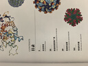 中國國家地理真菌:地球分解者+病毒:斗爭與平衡 普林斯頓大學(xué)生物圖鑒 微生物科普讀物書(shū)籍 曬單實(shí)拍圖