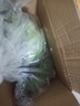 蘋(píng)果蕉新鮮香蕉自然熟芭蕉香甜粉糯萬(wàn)澄現摘生鮮現發(fā)水果 帶箱2斤【4-8根】 曬單實(shí)拍圖
