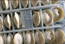 思念大蝦仁三鮮蝦仁水餃400g*2 40只蝦餃兒童早餐食品速凍餃子蒸煎餃 曬單實(shí)拍圖