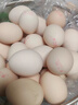 黃天鵝可生食雞蛋 30枚L級大蛋/3.6斤禮盒裝 生鮮雞蛋京東自營(yíng) 無(wú)抗生素 曬單實(shí)拍圖