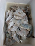 蝦有蝦途青島大蝦無(wú)冰新鮮海蝦白蝦鮮活冷凍大蝦批發(fā)3.6斤凈重 青島大蝦 3.6斤(凈重)  只只分離 18-20cm【超大蝦皇】無(wú)冰 曬單實(shí)拍圖