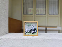 老秀館蜀繡熊貓伴手禮雙面刺繡擺件工藝品中國(guó)特色禮物送老外文創(chuàng)紀(jì)念品 胡桃木外框-竹子熊貓（JD發(fā)貨） 曬單實(shí)拍圖
