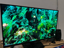 微星（MSI）31.5英寸 4K 量子點(diǎn) OLED 240Hz 0.03ms(GTG) HDR400 游戲電競顯示器屏 MAG 321UPX QD-OLED 曬單實(shí)拍圖