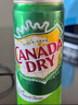 加拿大波蘭進(jìn)口加拿大（CANADA DRY）姜汁汽水干姜水330ml/罐 新日期 加拿大干姜【330ml*6罐】 曬單實(shí)拍圖