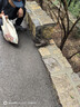 日清方便面 BIG合味道5口味混合12杯整箱裝 網(wǎng)紅泡面零食杯面【大杯】 曬單實(shí)拍圖