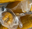京鮮生東北白糯玉米250g*10棒 新鮮甜糯玉米棒真空包裝粘玉米 源頭直發(fā) 曬單實(shí)拍圖