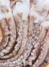 蓋世 冷凍魷魚(yú)須450g 燒烤火鍋食材 海鮮水產(chǎn) 二本足魷魚(yú)須 曬單實(shí)拍圖
