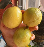 京鮮生欽蜜9號黃金百香果 5斤單果70g+/25-35個(gè)  生鮮水果 源頭直發(fā) 曬單實(shí)拍圖