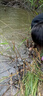 谷蜀香醉魚(yú)藥特效暈魚(yú)劑魚(yú)用麻醉專(zhuān)用江河野釣魚(yú)清塘魚(yú)藥一塘清醉魚(yú)靈 1瓶裝[醉魚(yú)專(zhuān)用] 曬單實(shí)拍圖