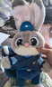 迪士尼（Disney）瘋狂動(dòng)物城朱迪玩偶斜挎包毛絨玩具教師節禮物女孩生日禮物女朋友 曬單實(shí)拍圖