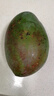 四川攀枝花凱特芒果當(dāng)季新鮮大青皮芒果熱帶水果 9斤帶箱凈重8.5斤 單果300g起 曬單實(shí)拍圖