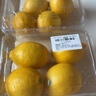 京鮮生 南非進(jìn)口尤力克黃檸檬 4粒裝 單果約90g+ 新鮮水果 曬單實(shí)拍圖