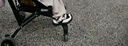 巴拉巴拉童鞋寶寶學(xué)步鞋嬰兒男女童鞋子春秋2025新戶(hù)外防滑鞋208325145208 曬單實(shí)拍圖