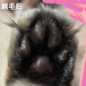 先鋒（SINGFUN）貓咪狗狗電動寵物理發(fā)器專用剪毛電動器剃毛器貓腳狗剃毛修剪器神器電推剪電動推子推毛器 香芋紫【全寵通用】LED燈剃腳毛器 曬單實拍圖