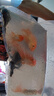 金魚(yú)活魚(yú)不加溫冷水魚(yú)觀(guān)賞魚(yú)淡水魚(yú)活體草金魚(yú)苗小金魚(yú)好養寵物魚(yú) 10-11CM丹頂+黑龍+獅頭隨機10條 曬單實(shí)拍圖