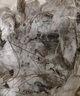 鮮京采 原裝進(jìn)口厄瓜多爾白蝦 凈重3.3斤 大號30-40規格 50-66只/盒 曬單實(shí)拍圖