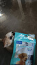 維克（Virbac）素齒潔復合潔齒片狗狗潔牙棒磨牙棒寵物幼犬成犬牙齒口腔清潔 XS（適用于5kg以下狗狗） 曬單實(shí)拍圖