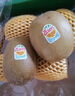 佳沛（zespri）新西蘭  陽光金奇異果巨大果22粒原箱 單果重約144-175g 獼猴桃 曬單實拍圖