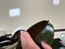 嘆為觀止 大型盆栽 單桿辮子發(fā)財(cái)樹天堂鳥綠蘿散尾葵辦公室內(nèi)開業(yè)喬遷禮品 橡皮樹1.6-1.8米【圓柱盆】 含盆 曬單實(shí)拍圖