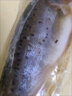 冰鮮海鱸魚(yú)鮮活冷凍海釣深海鱸魚(yú)七星鱸魚(yú)白鯧魚(yú)餐飲采購 新鮮海鱸魚(yú)1條裝【1-1.2斤/條】 曬單實(shí)拍圖